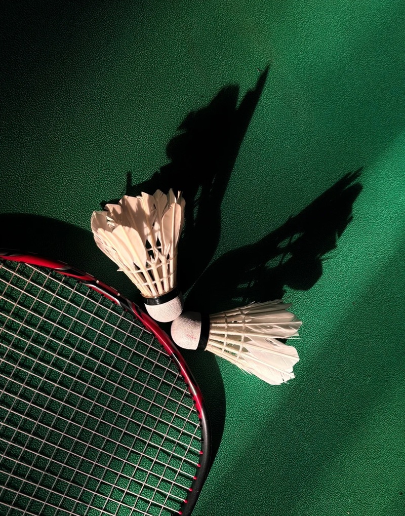 ảnh cầu lông ngầu 18