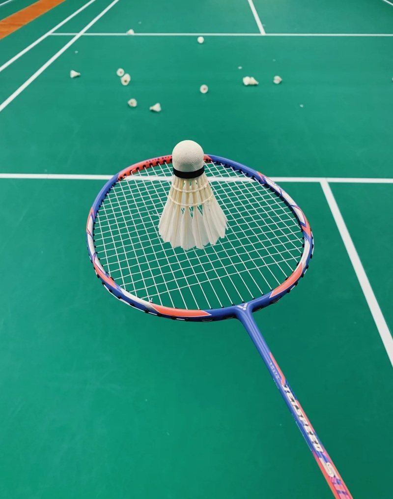 ảnh cầu lông ngầu 19