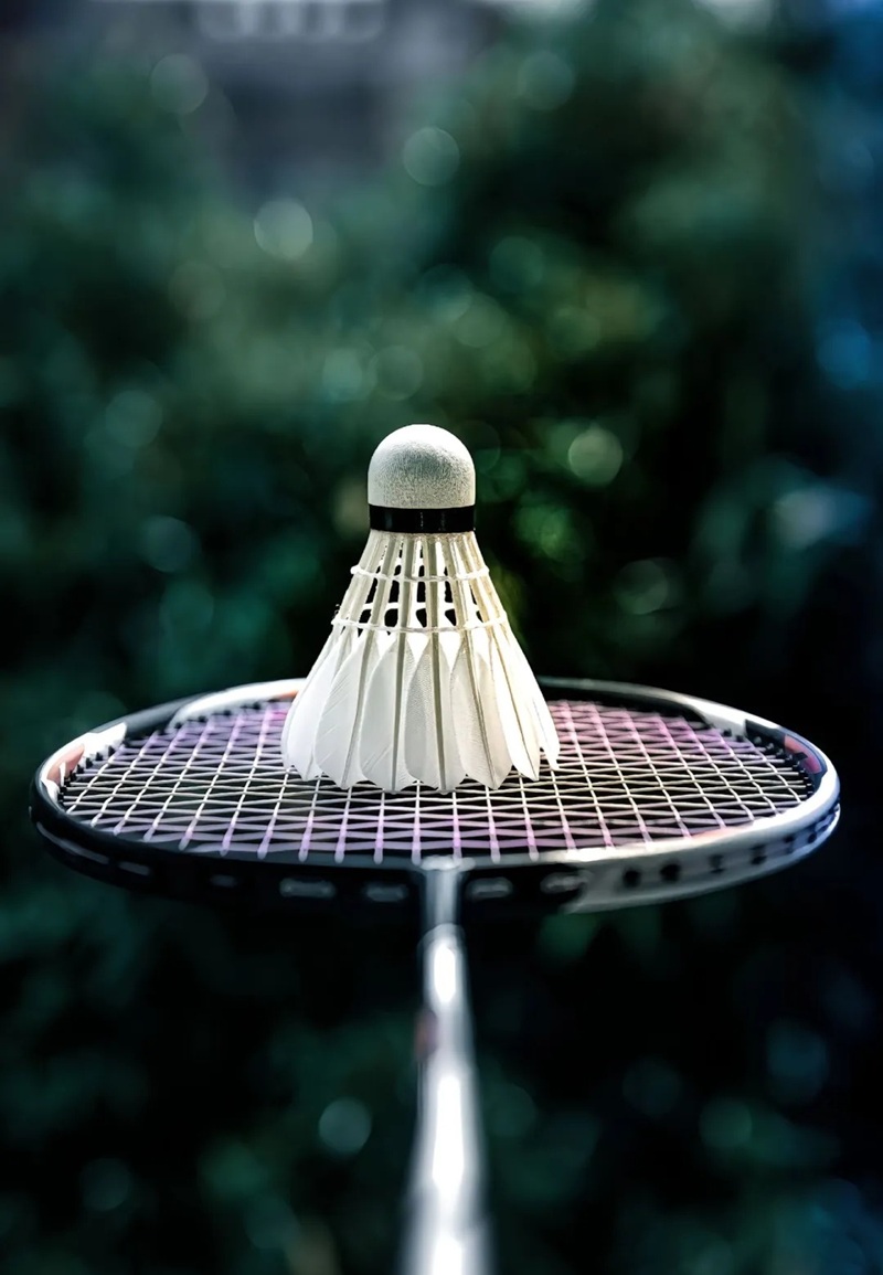 ảnh cầu lông ngầu 2