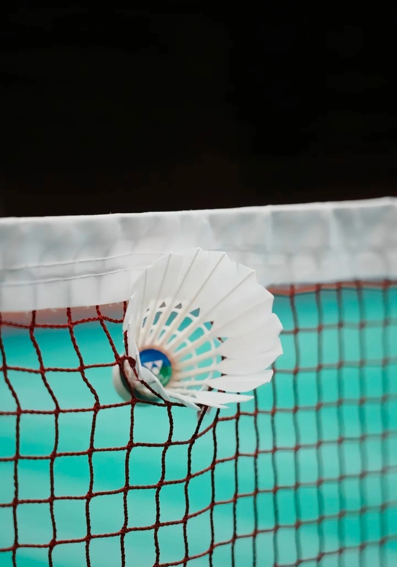 ảnh cầu lông ngầu 22