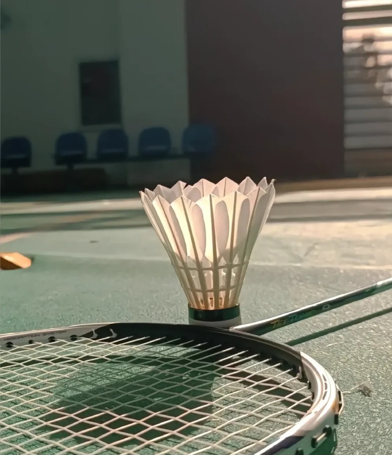 ảnh cầu lông ngầu 23