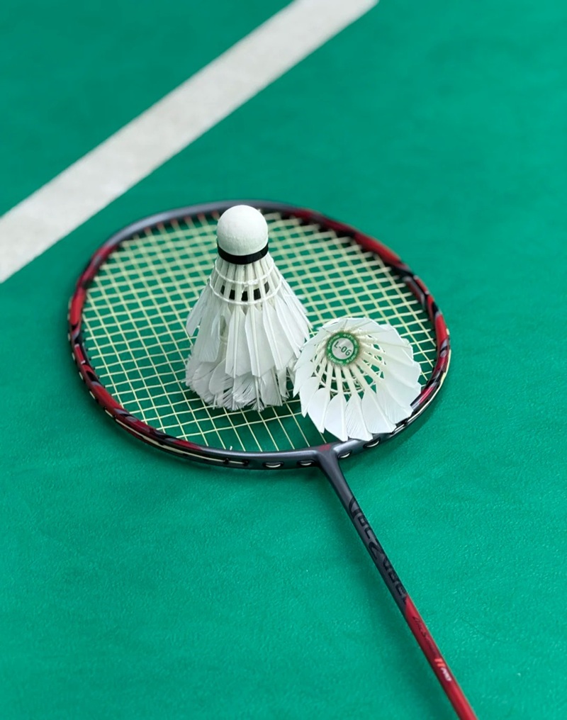 ảnh cầu lông ngầu 28