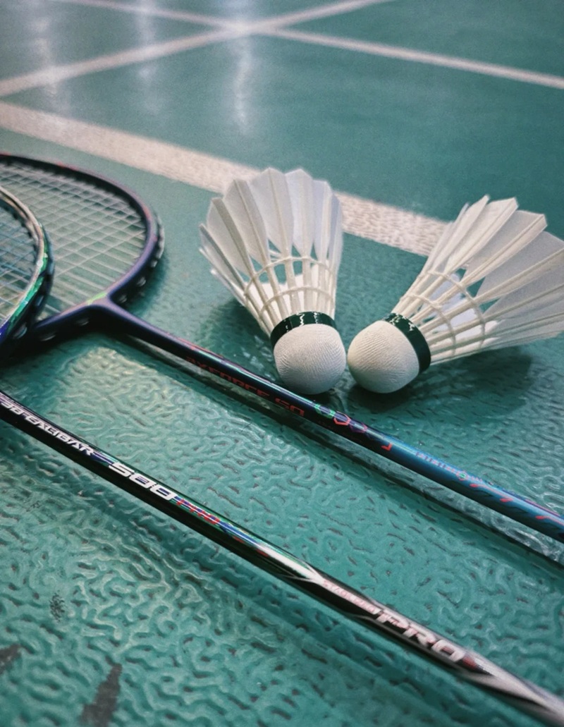 ảnh cầu lông ngầu 31