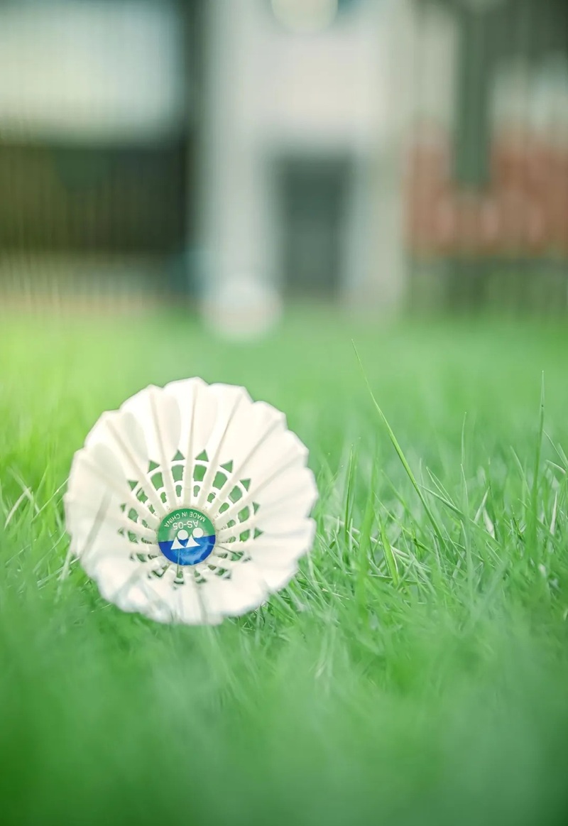 ảnh cầu lông ngầu 5