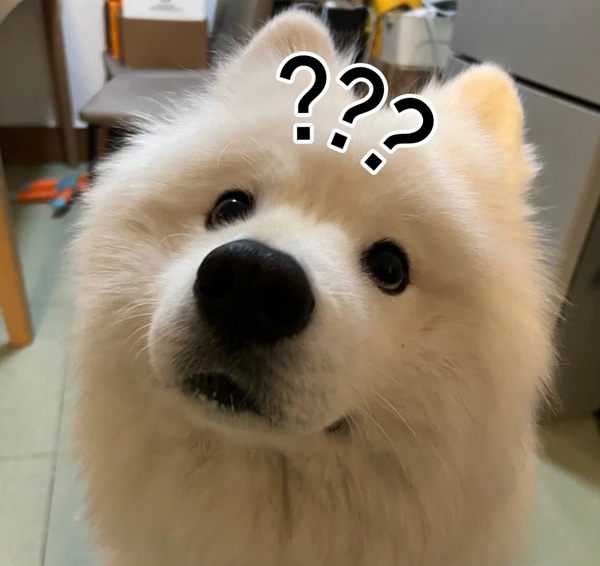 ảnh chấm hỏi meme