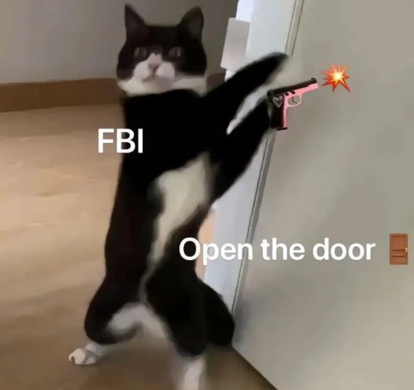 ảnh chế công an hài 16