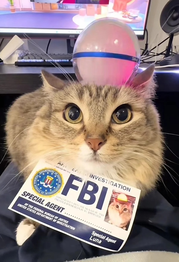 ảnh chế công an hài 17