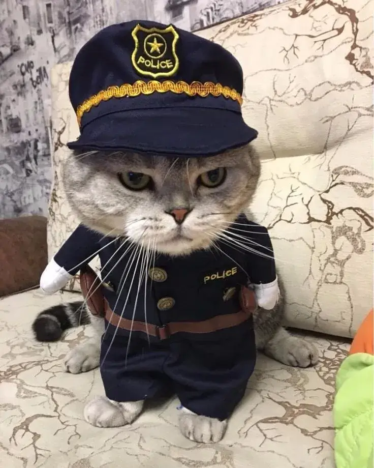 ảnh chế công an hài 26