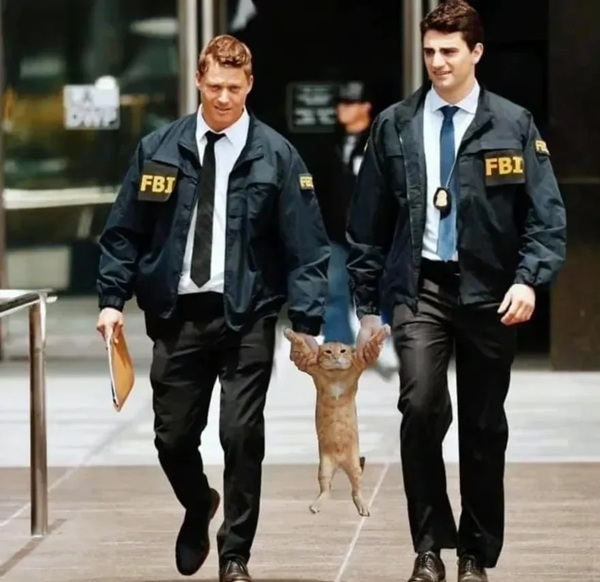 ảnh chế công an hài 33