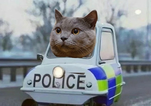 ảnh chế công an hài 5