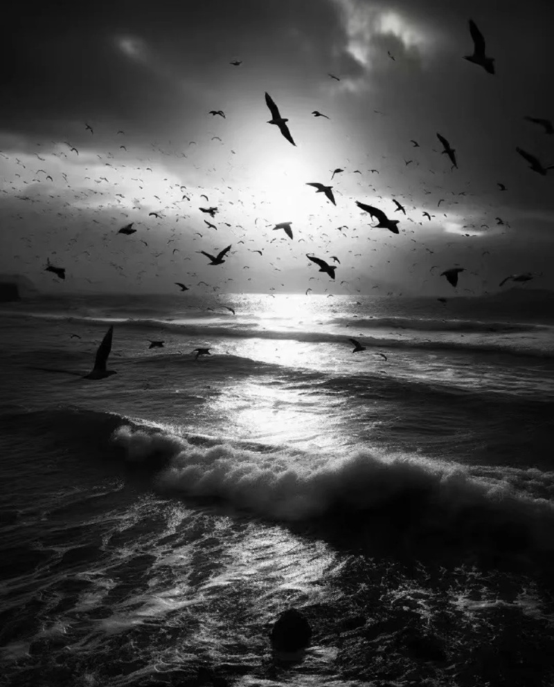 ảnh đen trắng buồn 14