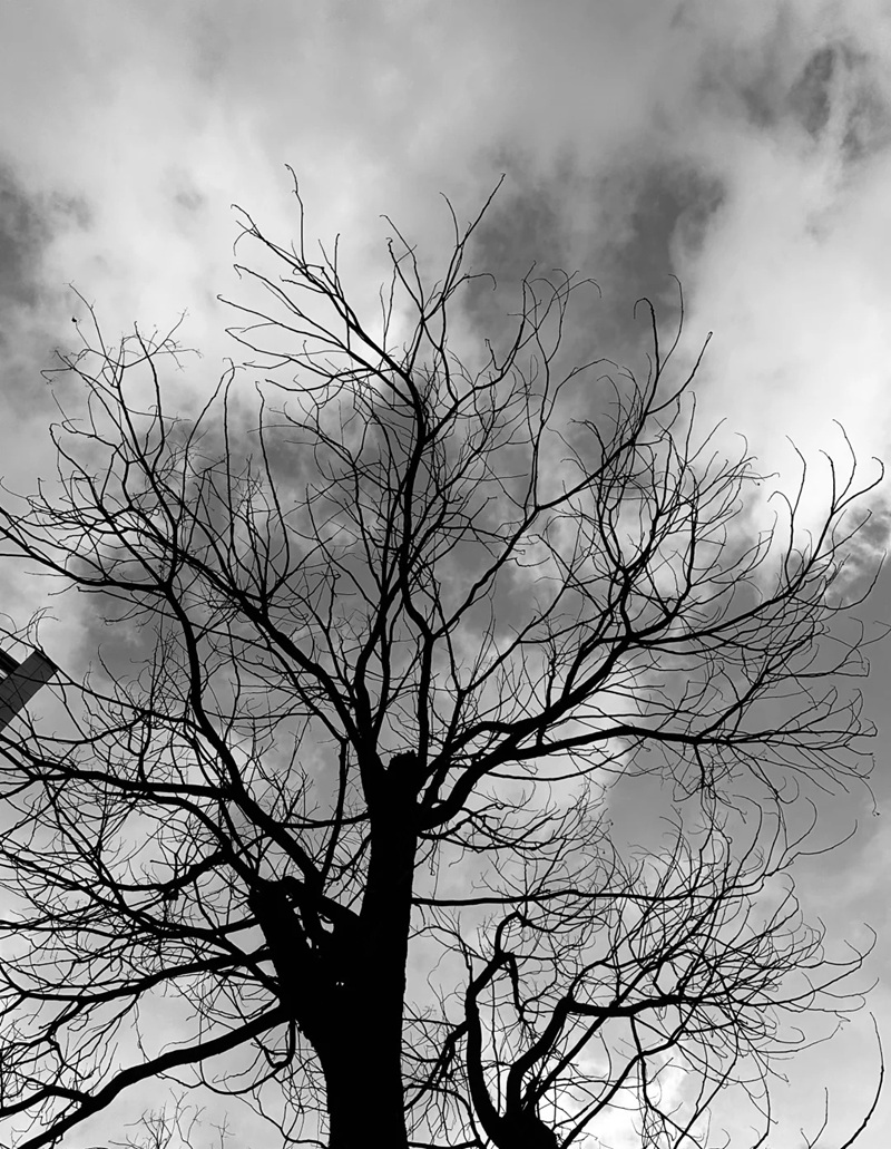 ảnh đen trắng buồn 15