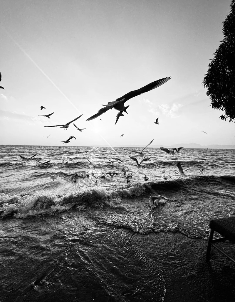 ảnh đen trắng buồn 17