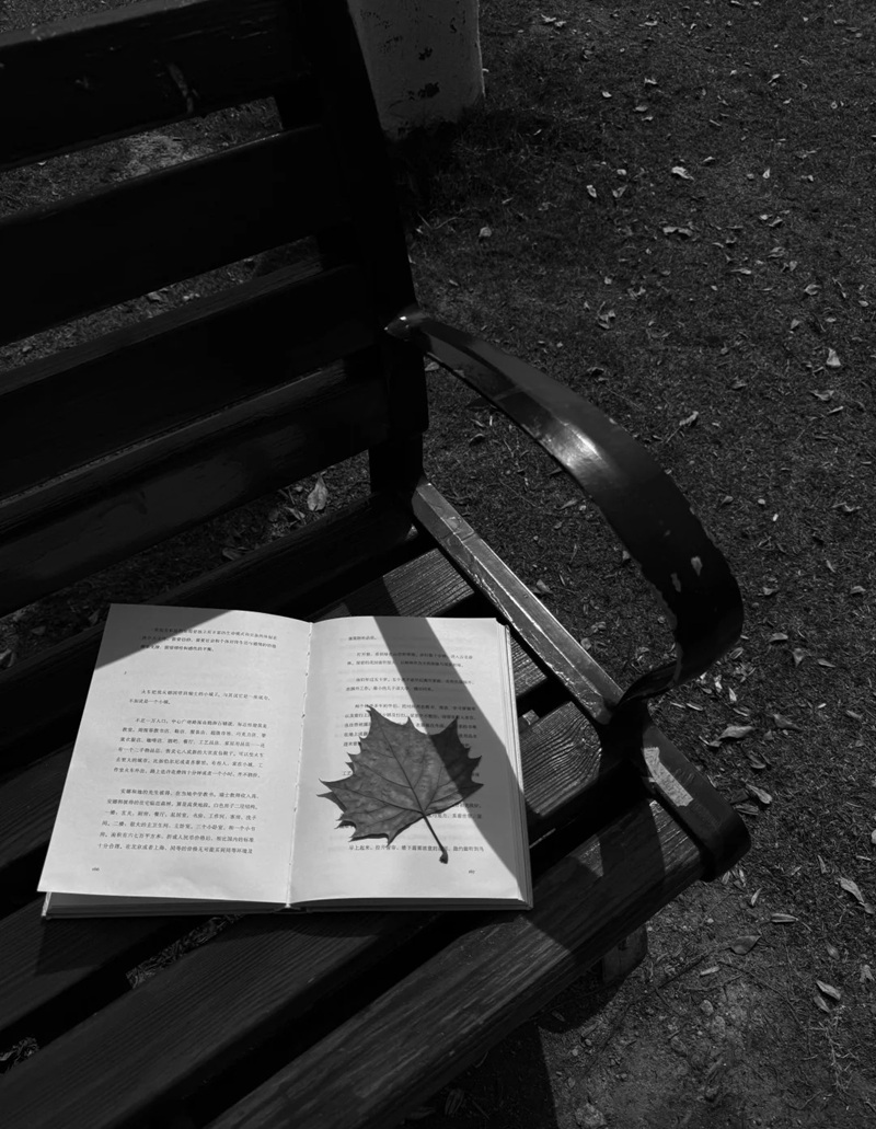 ảnh đen trắng buồn 38