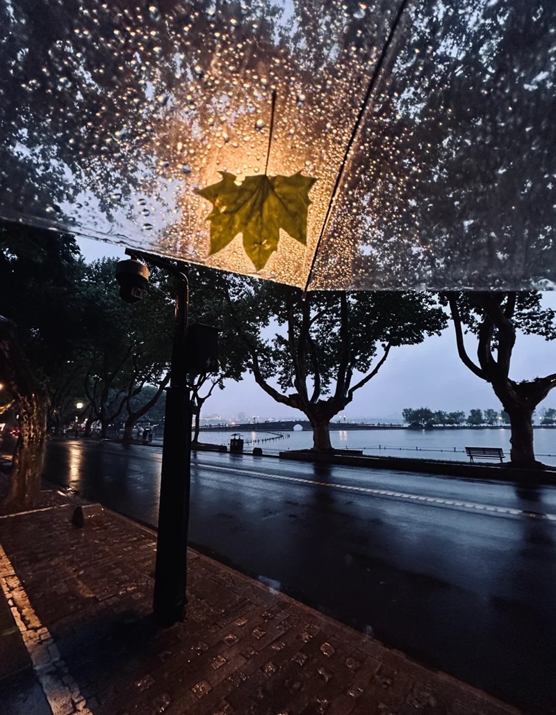 ảnh đi dưới mưa buồn 1