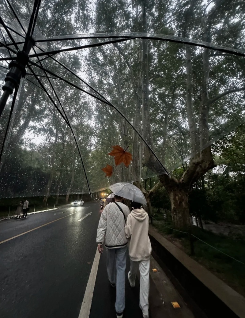 ảnh đi dưới mưa buồn 23