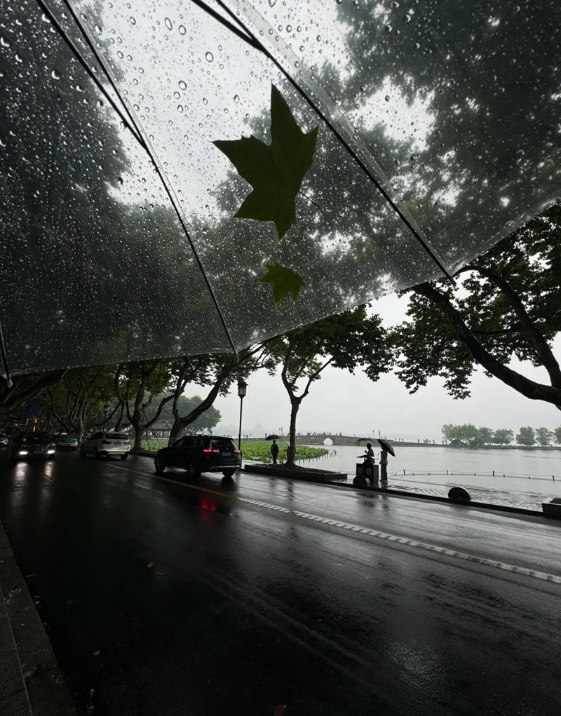 ảnh đi dưới mưa buồn 24