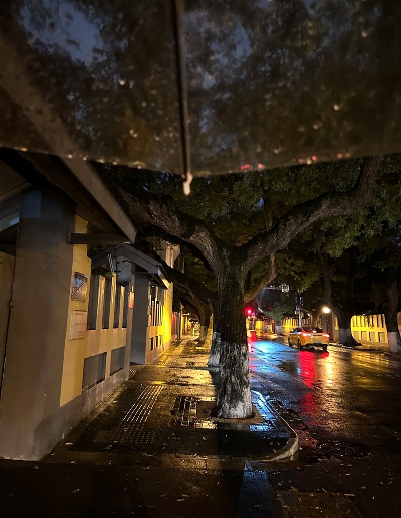 ảnh đi dưới mưa buồn 33