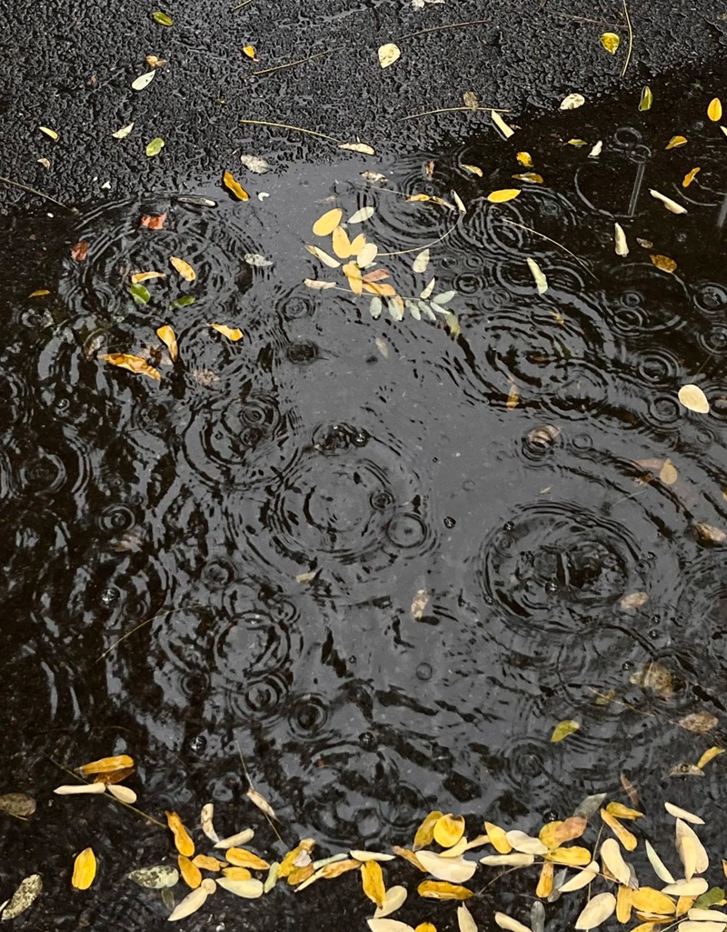 ảnh đi dưới mưa buồn 34