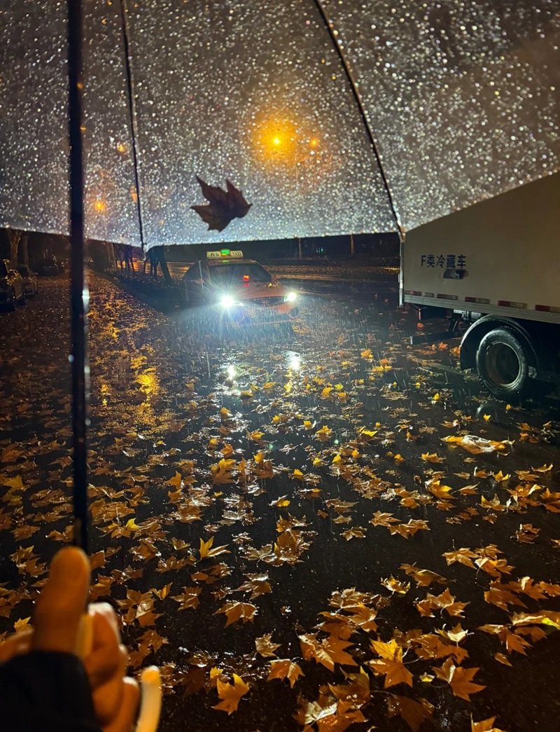 ảnh đi dưới mưa buồn 37