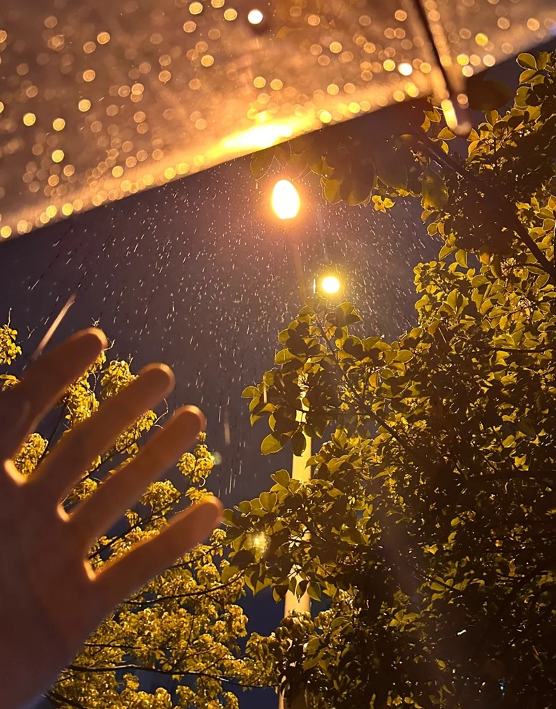 ảnh đi dưới mưa buồn 38