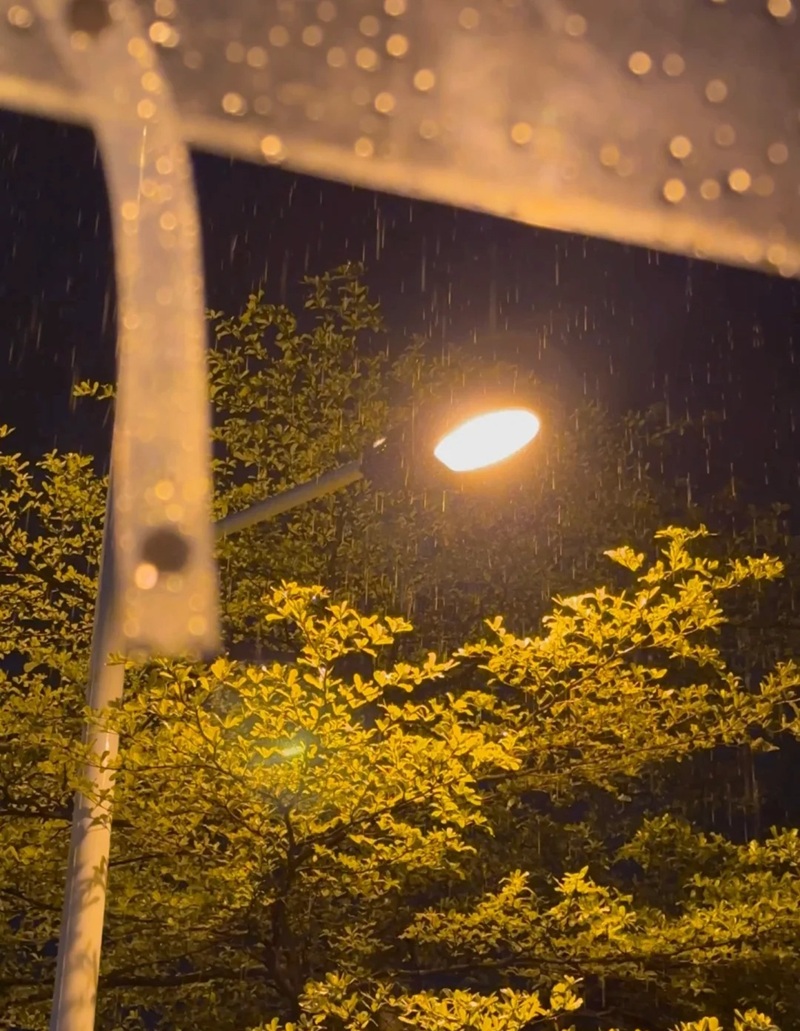 ảnh đi dưới mưa buồn 39