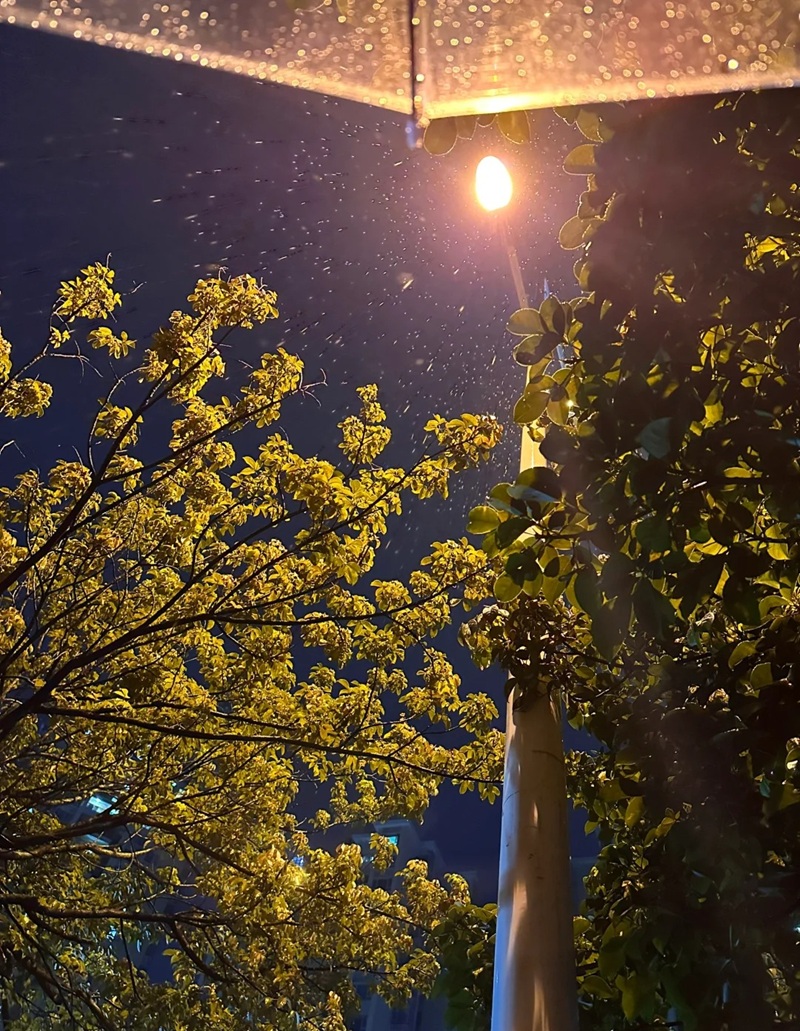 ảnh đi dưới mưa buồn 40