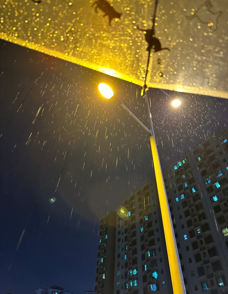 ảnh đi dưới mưa buồn 41