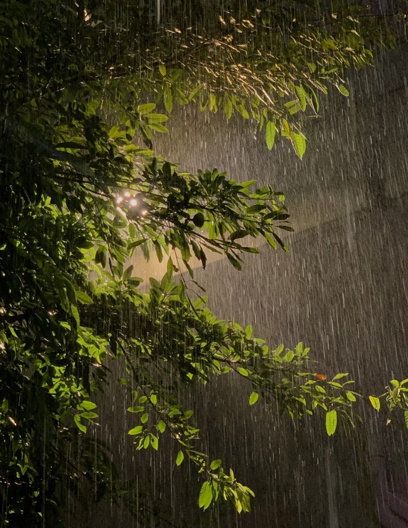 ảnh đi dưới mưa buồn 6