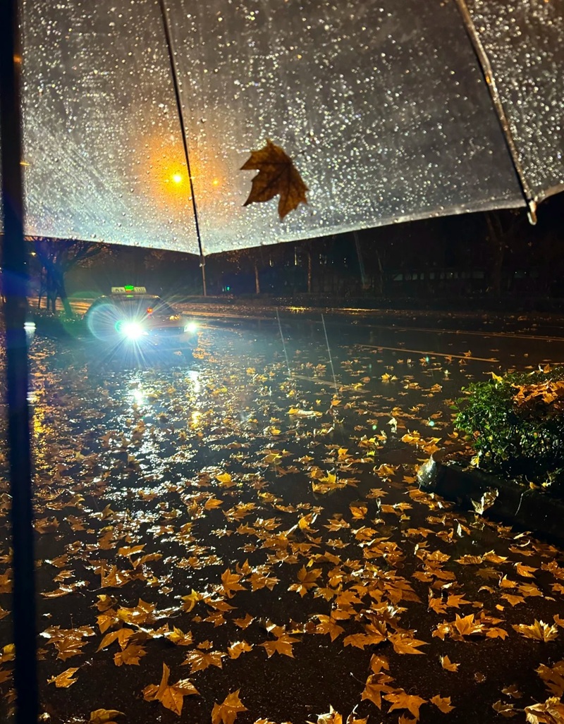 ảnh đi dưới mưa buồn 7