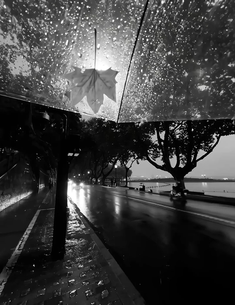 ảnh đường phố buồn 1