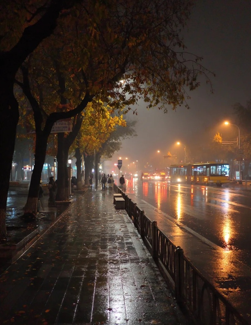 ảnh đường phố buồn 21