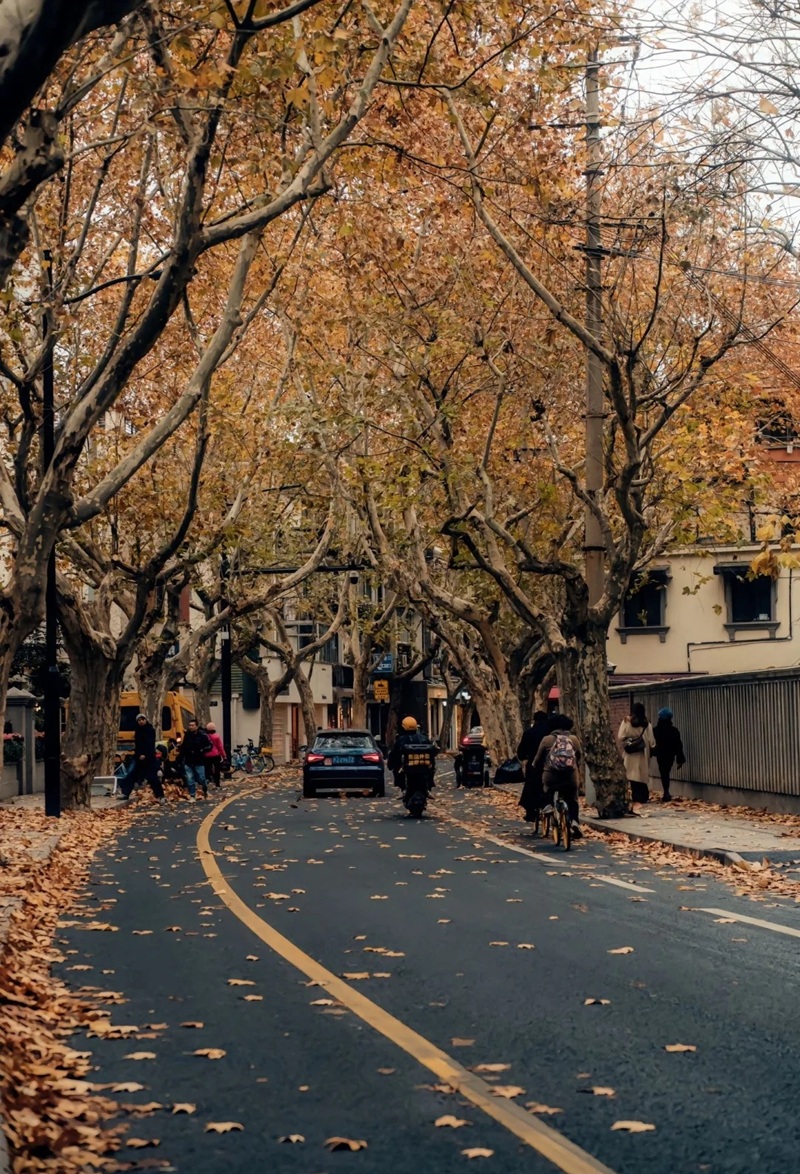 ảnh đường phố buồn 32