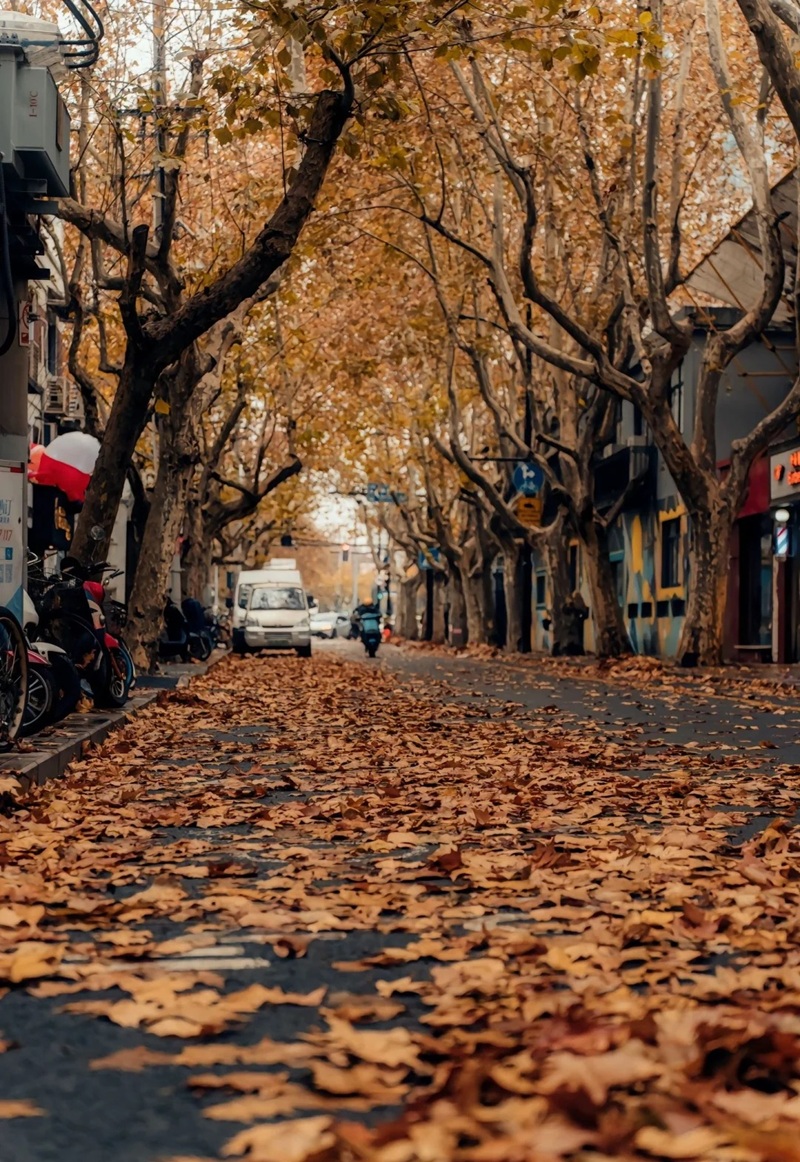 ảnh đường phố buồn 34
