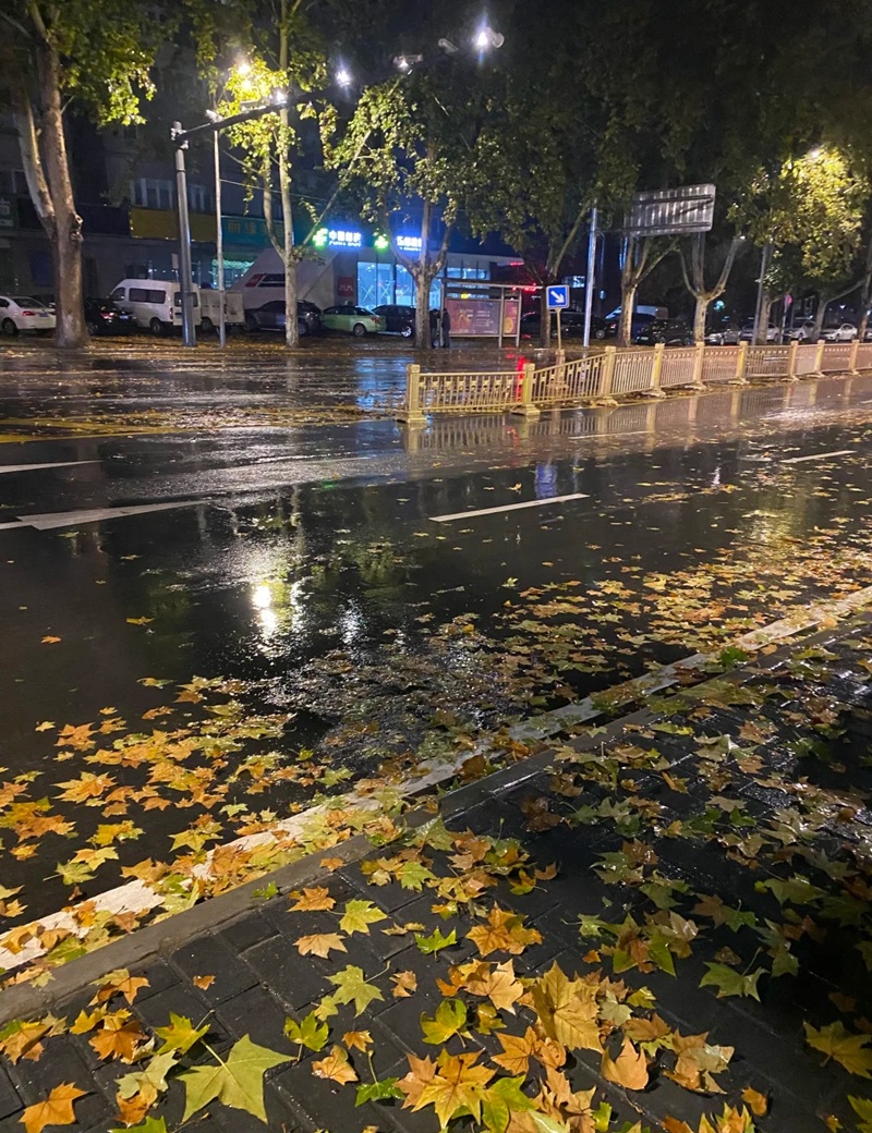 ảnh đường phố buồn 35