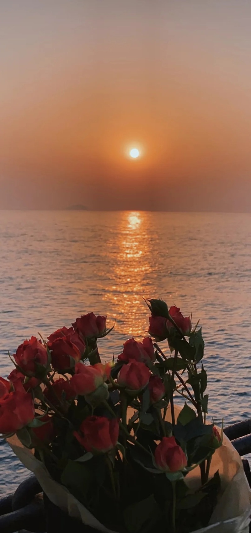 ảnh hoa hồng buồn 21