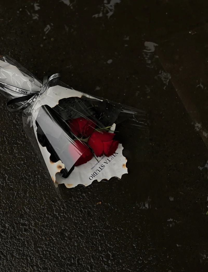 ảnh hoa hồng buồn 29