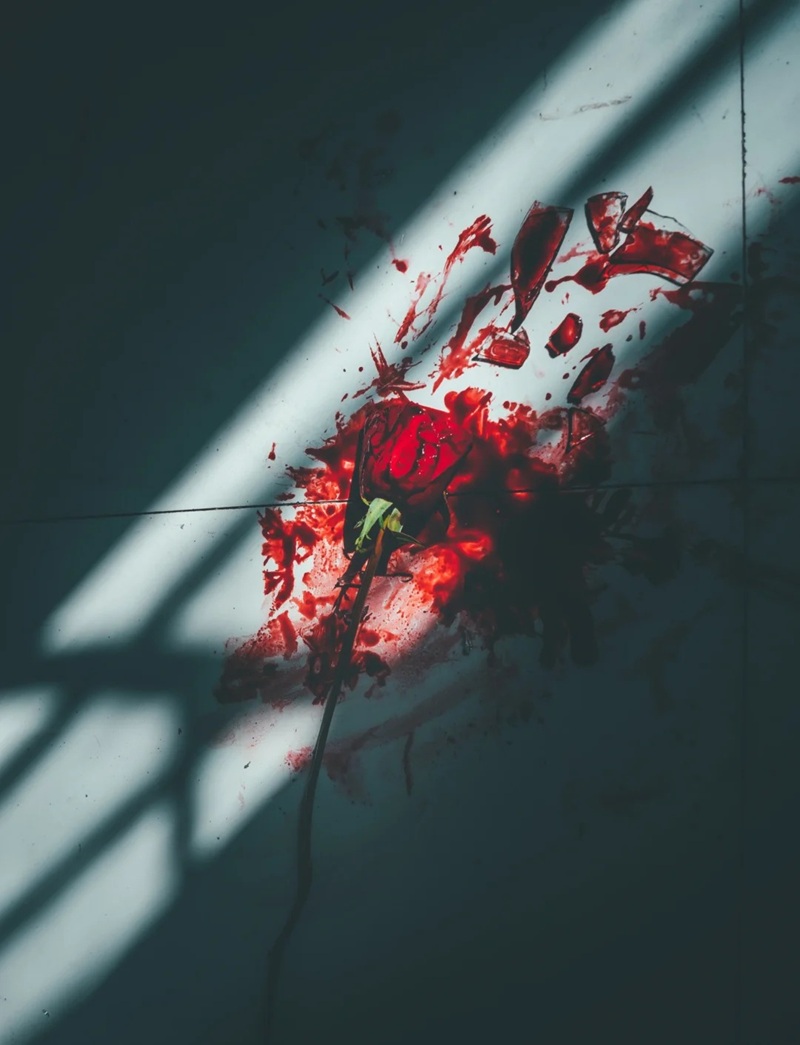 ảnh hoa hồng buồn 6