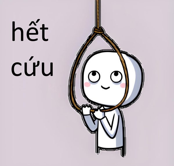 ảnh meme hết cứu 1