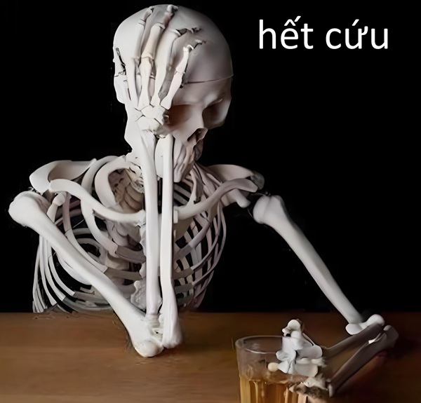 ảnh meme hết cứu 2