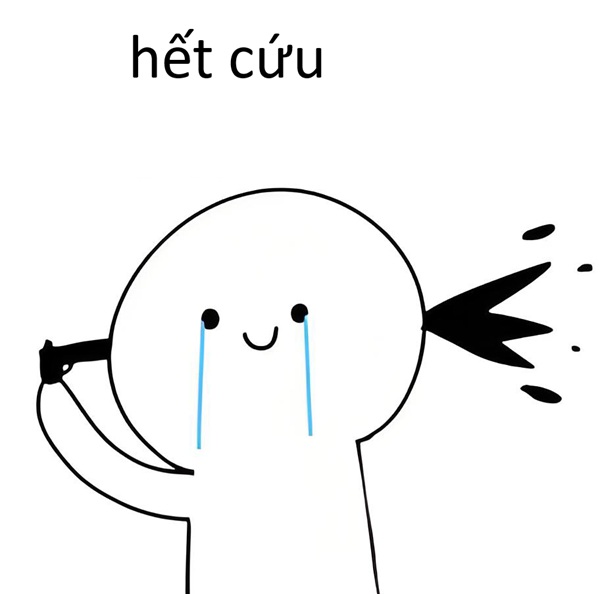 ảnh meme hết cứu 3