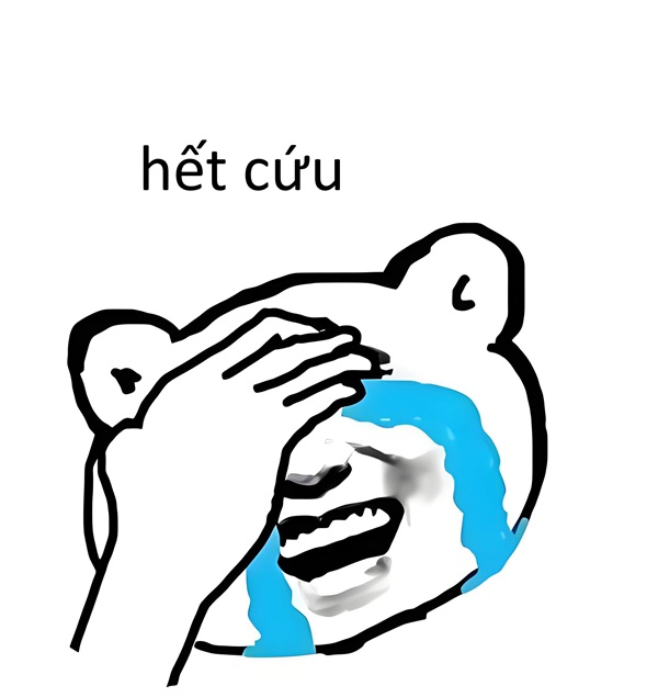 ảnh meme hết cứu 4