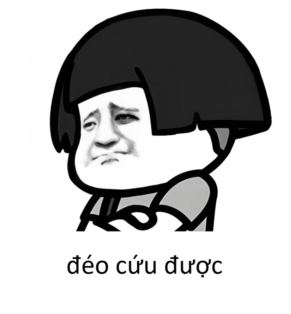 ảnh meme hết cứu 6