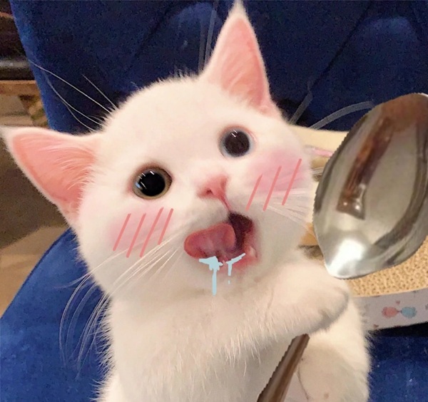 ảnh meme ngon thí