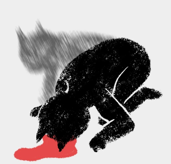 ảnh meme quỳ lạy