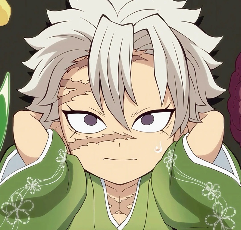 ảnh sanemi ngầu 11