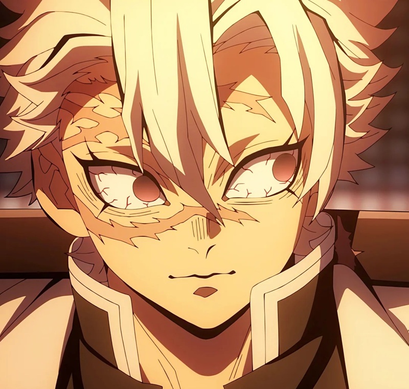 ảnh sanemi ngầu 12