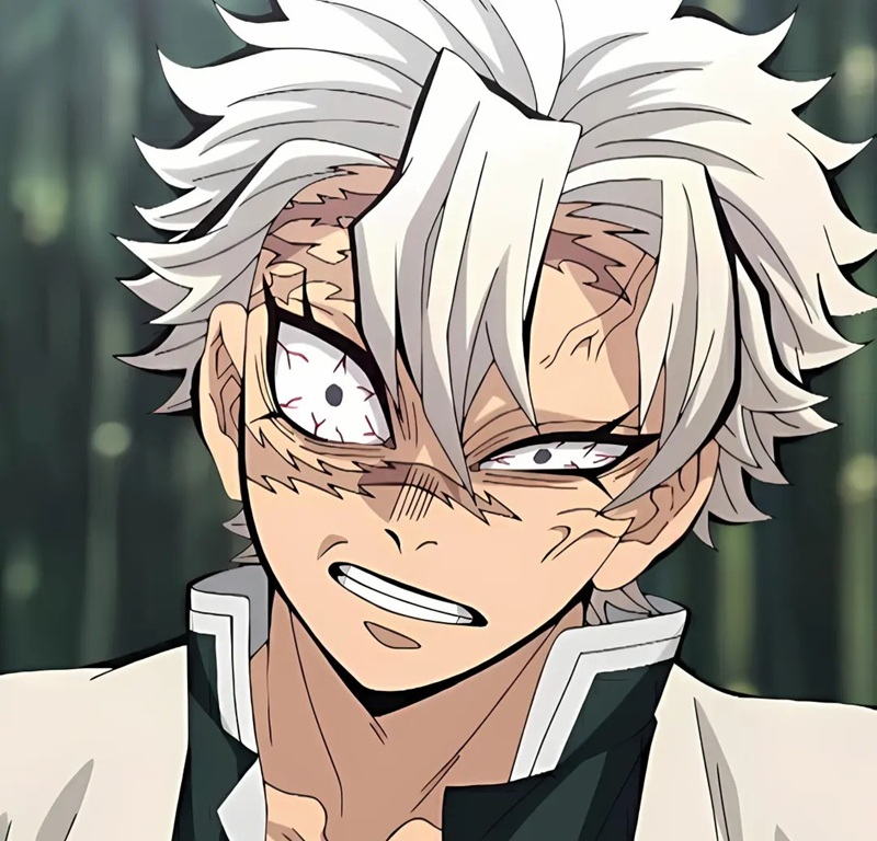 ảnh sanemi ngầu 18