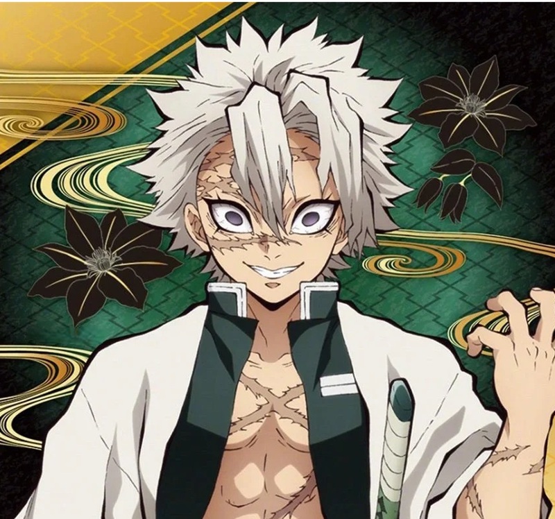 ảnh sanemi ngầu 19