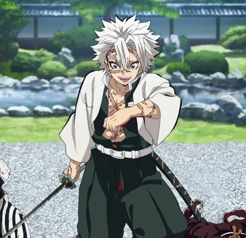 ảnh sanemi ngầu 31